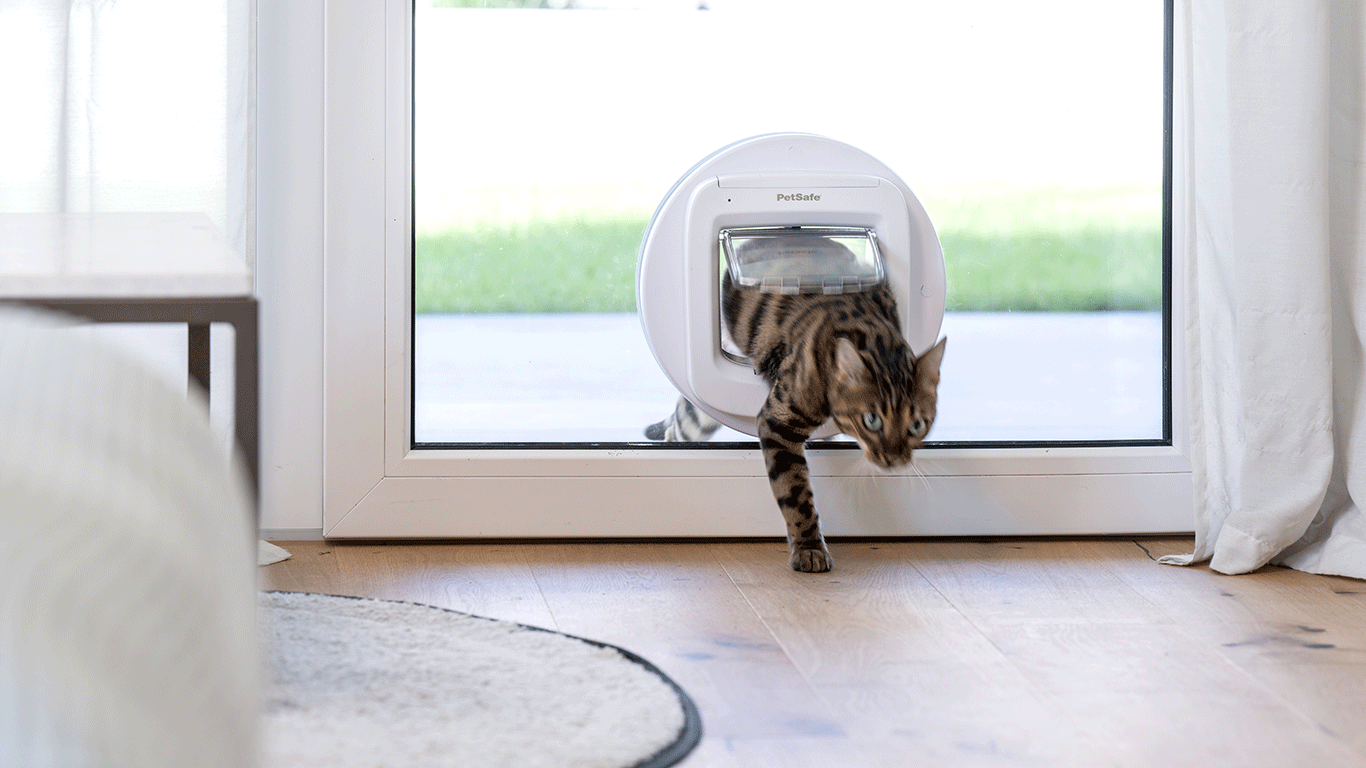 Bakontüre mit Katzenklappe